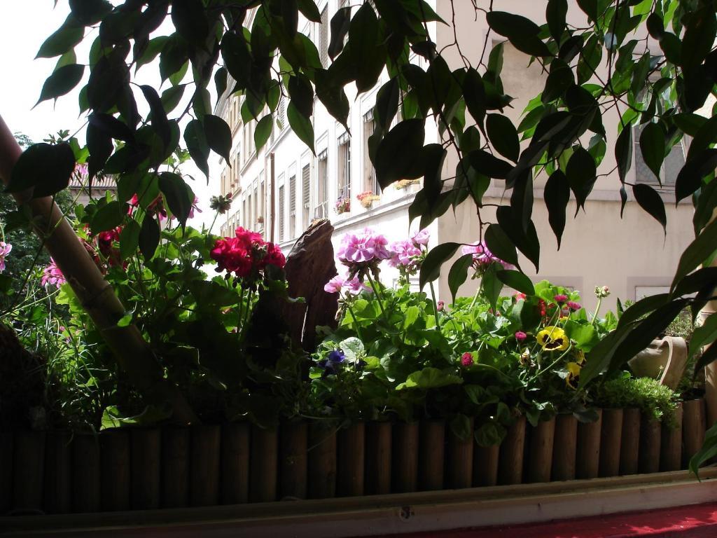 Chambres Les Soyeuses Lyon Exteriér fotografie
